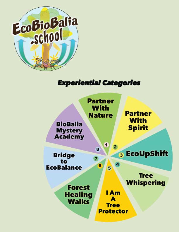 8 categories of courses
